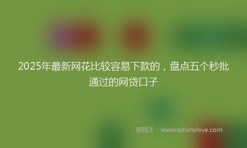 2025年最新网花比较容易下款的，盘点五个秒批通过的网贷口子