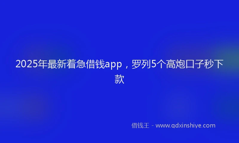 2025年最新着急借钱app，罗列5个高炮口子秒下款