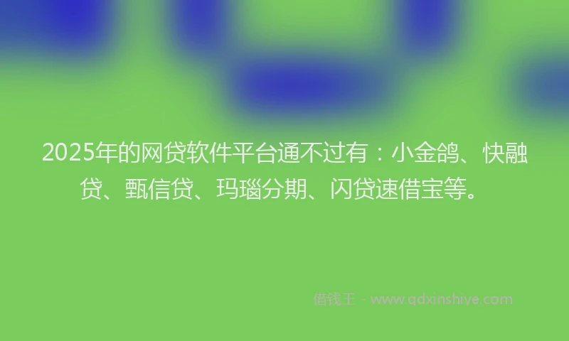 2025年的网贷软件平台通不过有：小金鸽、快融贷、甄信贷、玛瑙分期、闪贷速借宝等。