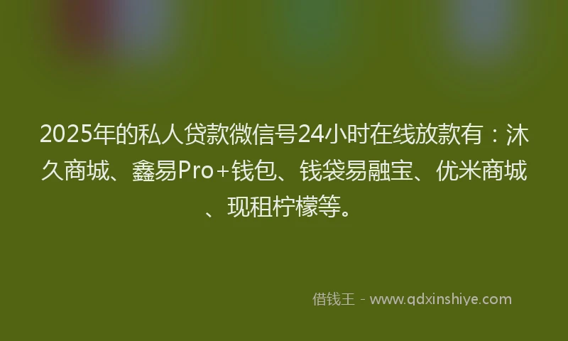 2025年的私人贷款微信号24小时在线放款有：沐久商城、鑫易Pro+钱包、钱袋易融宝、优米商城、现租柠檬等。