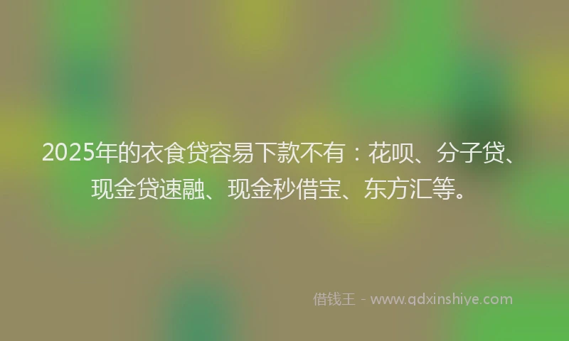 2025年的衣食贷容易下款不有：花呗、分子贷、现金贷速融、现金秒借宝、东方汇等。