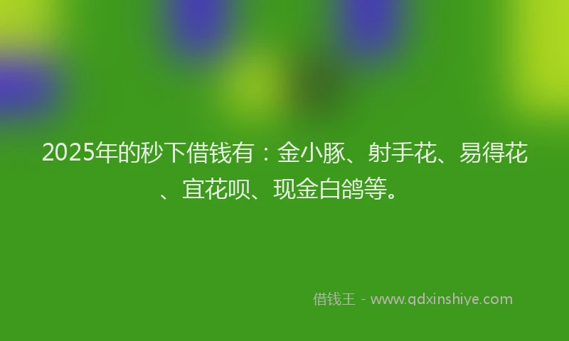 2025年的秒下借钱有：金小豚、射手花、易得花、宜花呗、现金白鸽等。