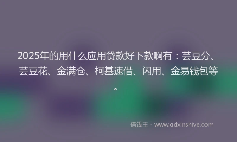 2025年的用什么应用贷款好下款啊有：芸豆分、芸豆花、金满仓、柯基速借、闪用、金易钱包等。