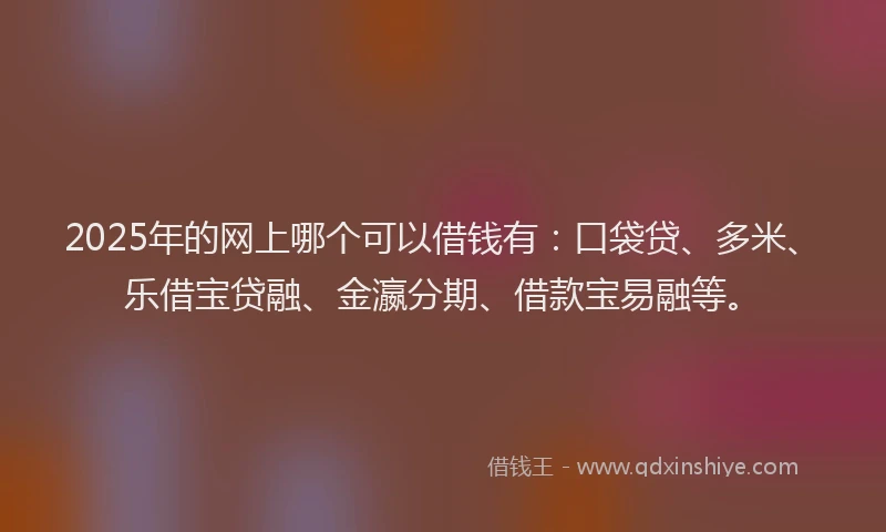 2025年的网上哪个可以借钱有：口袋贷、多米、乐借宝贷融、金瀛分期、借款宝易融等。