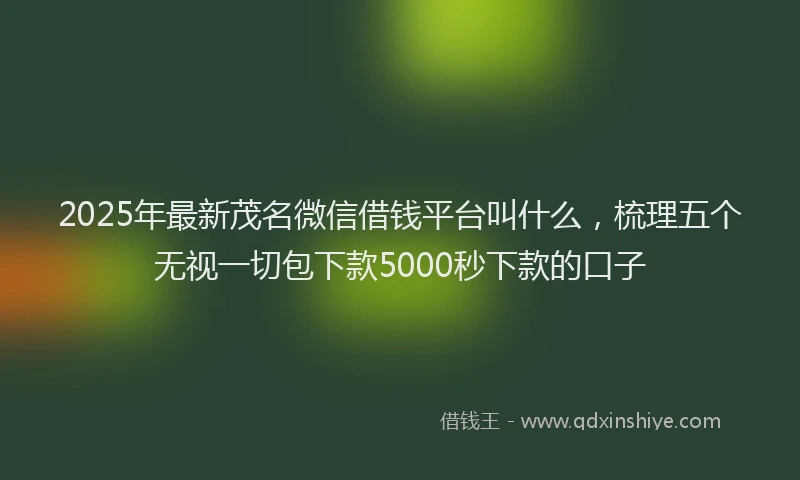 2025年最新茂名微信借钱平台叫什么，梳理五个无视一切包下款5000秒下款的口子