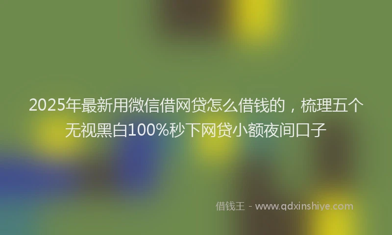 2025年最新用微信借网贷怎么借钱的，梳理五个无视黑白100%秒下网贷小额夜间口子