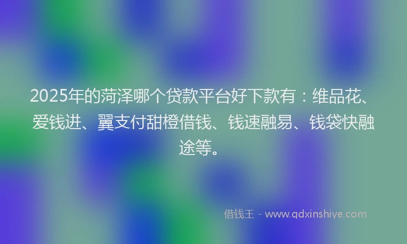 2025年的菏泽哪个贷款平台好下款有：维品花、爱钱进、翼支付甜橙借钱、钱速融易、钱袋快融途等。