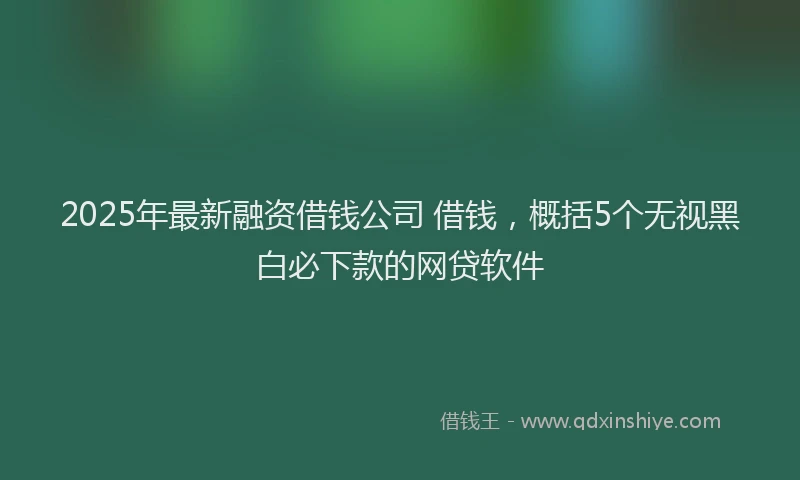 2025年最新融资借钱公司 借钱，概括5个无视黑白必下款的网贷软件