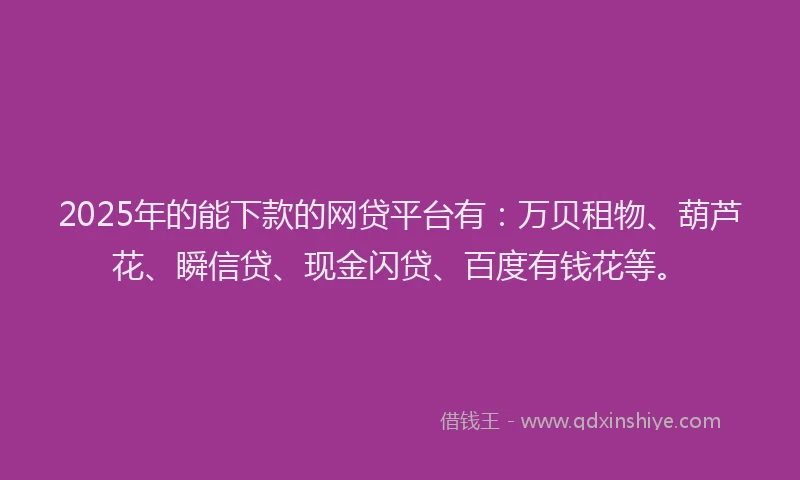 2025年的能下款的网贷平台有：万贝租物、葫芦花、瞬信贷、现金闪贷、百度有钱花等。