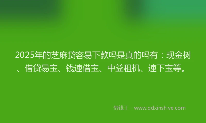 2025年的芝麻贷容易下款吗是真的吗有：现金树、借贷易宝、钱速借宝、中益租机、速下宝等。