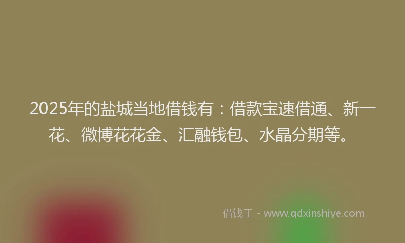 2025年的盐城当地借钱有：借款宝速借通、新一花、微博花花金、汇融钱包、水晶分期等。