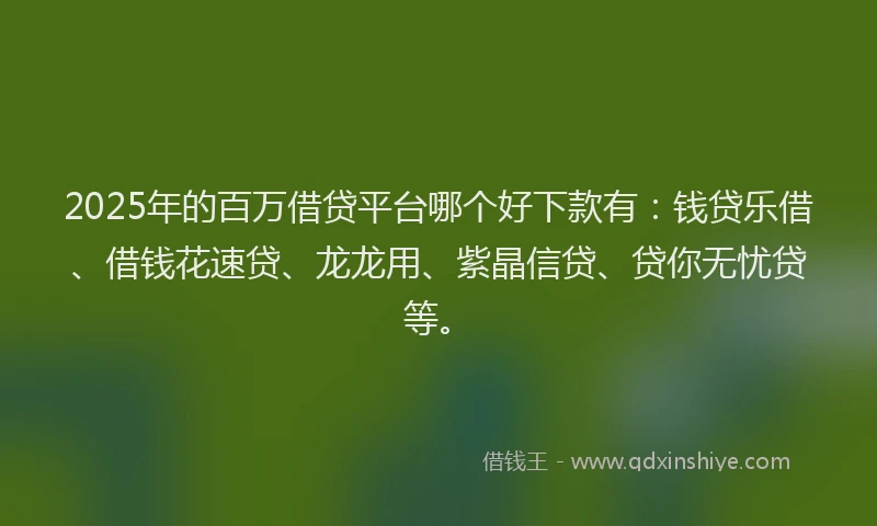 2025年的百万借贷平台哪个好下款有：钱贷乐借、借钱花速贷、龙龙用、紫晶信贷、贷你无忧贷等。