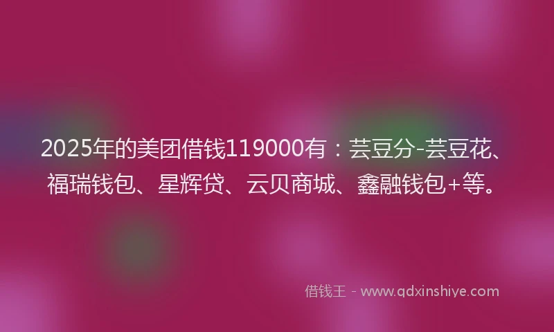 2025年的美团借钱119000有：芸豆分-芸豆花、福瑞钱包、星辉贷、云贝商城、鑫融钱包+等。