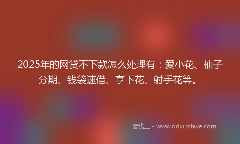 2025年的网贷不下款怎么处理有：爱小花、柚子分期、钱袋速借、享下花、射手花等。