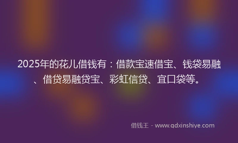 2025年的花儿借钱有：借款宝速借宝、钱袋易融、借贷易融贷宝、彩虹信贷、宜口袋等。