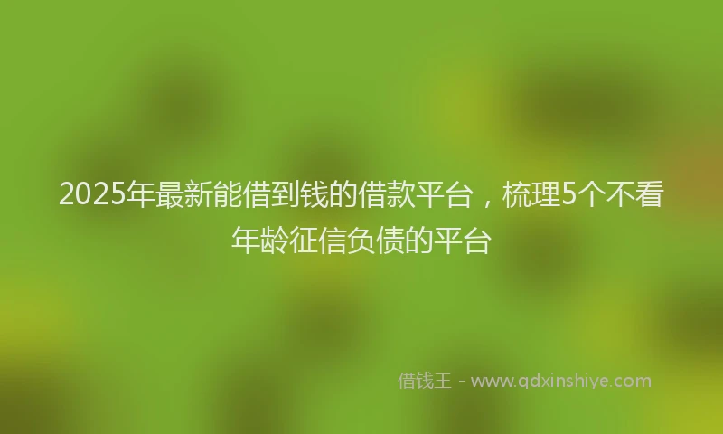 2025年最新能借到钱的借款平台，梳理5个不看年龄征信负债的平台