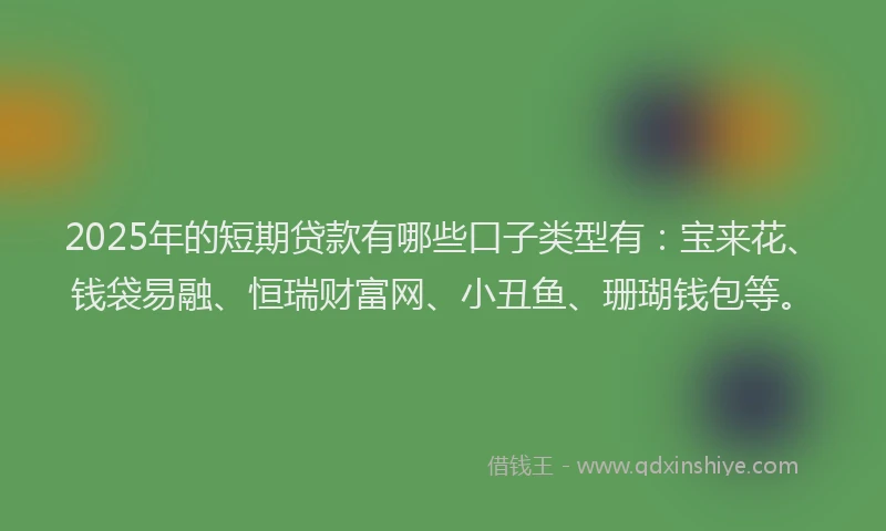 2025年的短期贷款有哪些口子类型有：宝来花、钱袋易融、恒瑞财富网、小丑鱼、珊瑚钱包等。