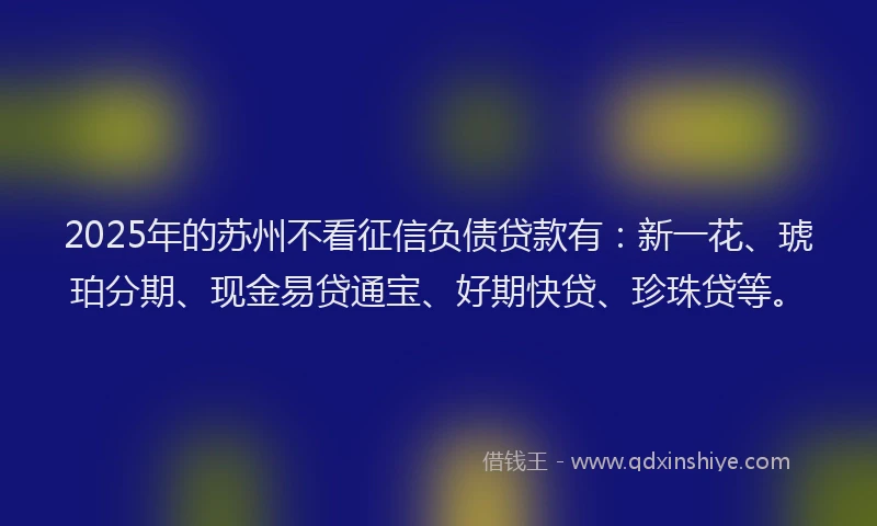 2025年的苏州不看征信负债贷款有：新一花、琥珀分期、现金易贷通宝、好期快贷、珍珠贷等。
