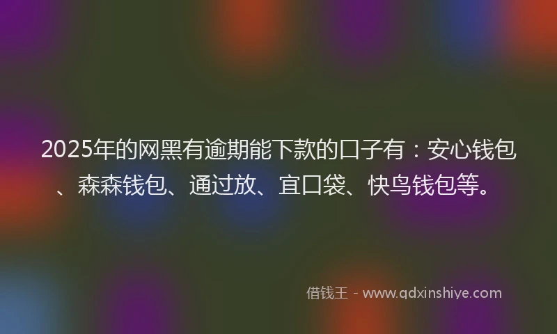 2025年的网黑有逾期能下款的口子有：安心钱包、森森钱包、通过放、宜口袋、快鸟钱包等。
