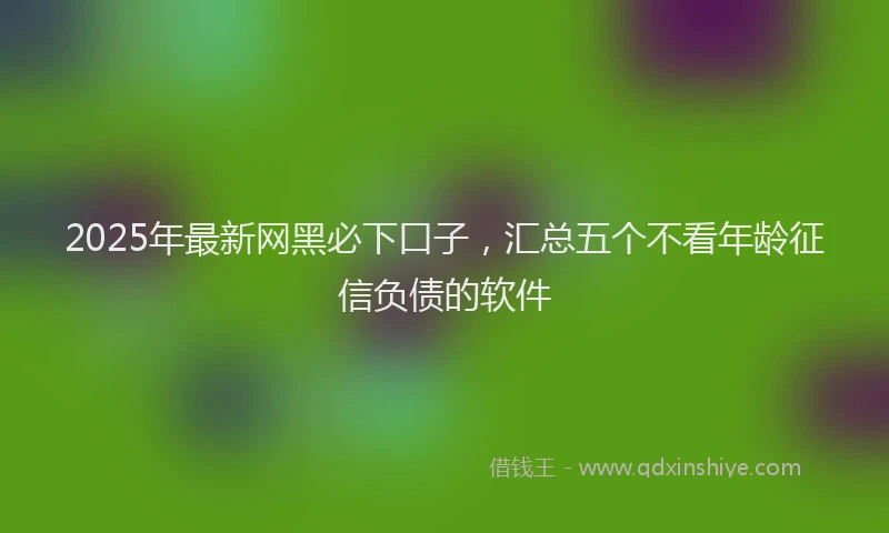 2025年最新网黑必下口子，汇总五个不看年龄征信负债的软件