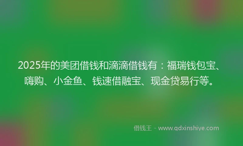 2025年的美团借钱和滴滴借钱有：福瑞钱包宝、嗨购、小金鱼、钱速借融宝、现金贷易行等。