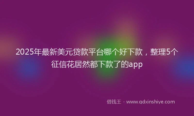 2025年最新美元贷款平台哪个好下款，整理5个征信花居然都下款了的app