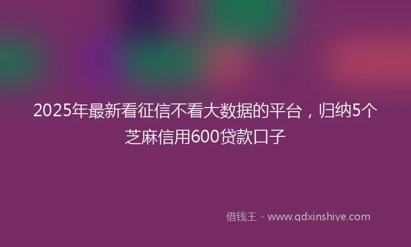 2025年最新看征信不看大数据的平台，归纳5个芝麻信用600贷款口子