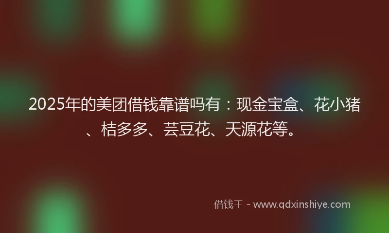 2025年的美团借钱靠谱吗有：现金宝盒、花小猪、桔多多、芸豆花、天源花等。