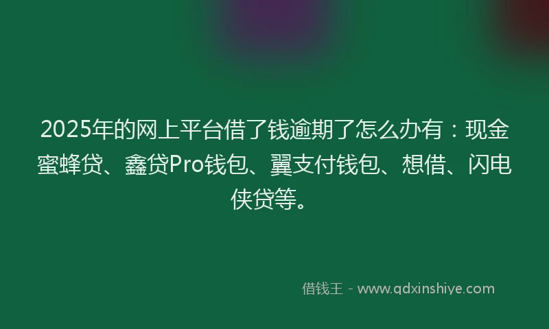 2025年的网上平台借了钱逾期了怎么办有：现金蜜蜂贷、鑫贷Pro钱包、翼支付钱包、想借、闪电侠贷等。