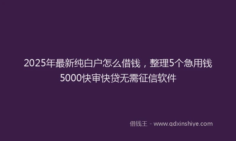 2025年最新纯白户怎么借钱，整理5个急用钱5000快审快贷无需征信软件