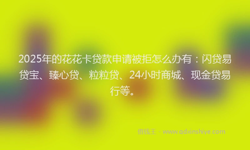 2025年的花花卡贷款申请被拒怎么办有：闪贷易贷宝、臻心贷、粒粒贷、24小时商城、现金贷易行等。