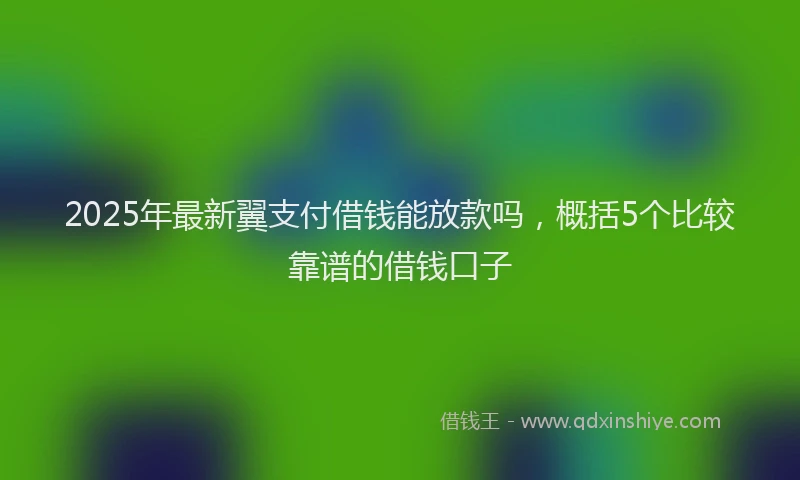 2025年最新翼支付借钱能放款吗，概括5个比较靠谱的借钱口子