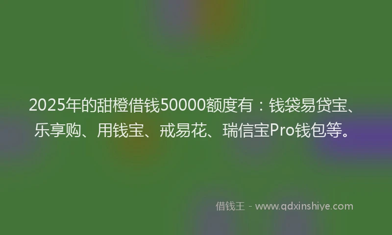 2025年的甜橙借钱50000额度有：钱袋易贷宝、乐享购、用钱宝、戒易花、瑞信宝Pro钱包等。