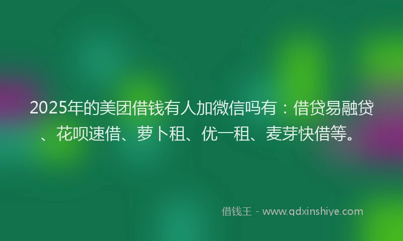 2025年的美团借钱有人加微信吗有：借贷易融贷、花呗速借、萝卜租、优一租、麦芽快借等。