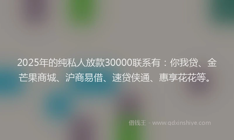 2025年的纯私人放款30000联系有：你我贷、金芒果商城、沪商易借、速贷侠通、惠享花花等。