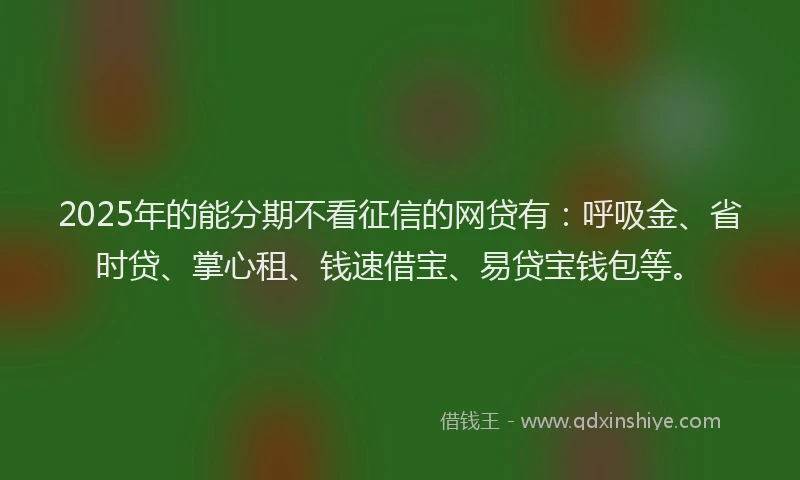 2025年的能分期不看征信的网贷有：呼吸金、省时贷、掌心租、钱速借宝、易贷宝钱包等。