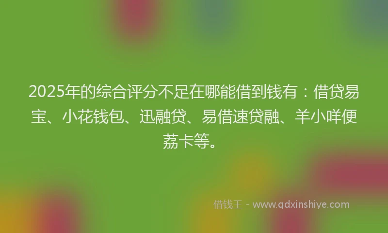 2025年的综合评分不足在哪能借到钱有：借贷易宝、小花钱包、迅融贷、易借速贷融、羊小咩便荔卡等。
