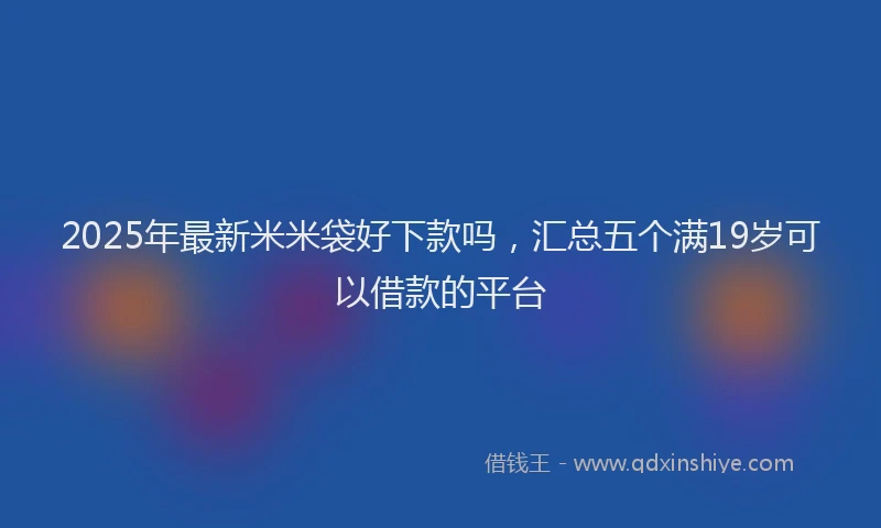 2025年最新米米袋好下款吗，汇总五个满19岁可以借款的平台