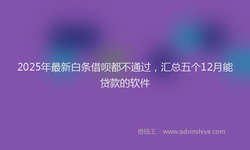 2025年最新白条借呗都不通过，汇总五个12月能贷款的软件