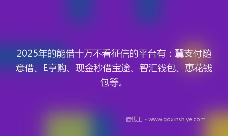 2025年的能借十万不看征信的平台有：翼支付随意借、E享购、现金秒借宝途、智汇钱包、惠花钱包等。