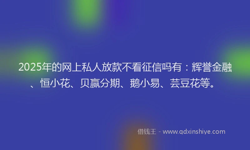 2025年的网上私人放款不看征信吗有：辉誉金融、恒小花、贝赢分期、鹅小易、芸豆花等。