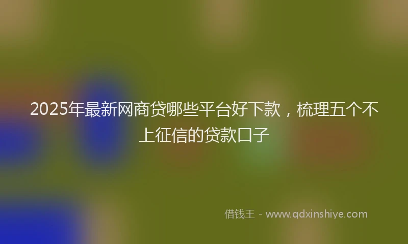 2025年最新网商贷哪些平台好下款，梳理五个不上征信的贷款口子