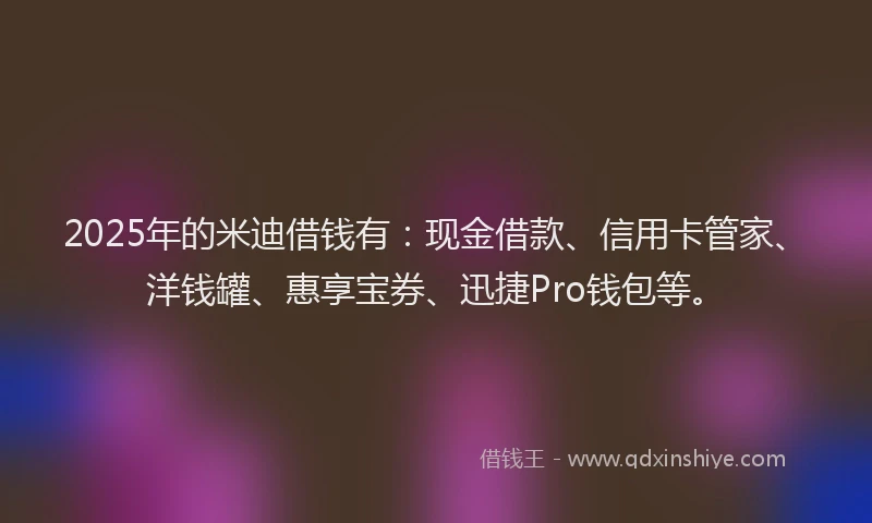 2025年的米迪借钱有：现金借款、信用卡管家、洋钱罐、惠享宝券、迅捷Pro钱包等。