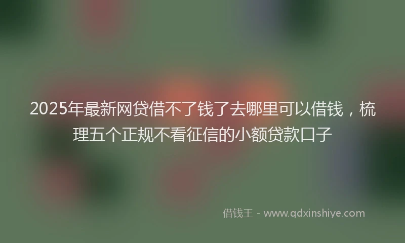 2025年最新网贷借不了钱了去哪里可以借钱，梳理五个正规不看征信的小额贷款口子