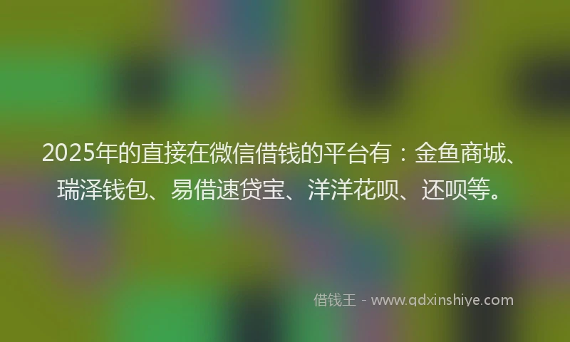 2025年的直接在微信借钱的平台有：金鱼商城、瑞泽钱包、易借速贷宝、洋洋花呗、还呗等。