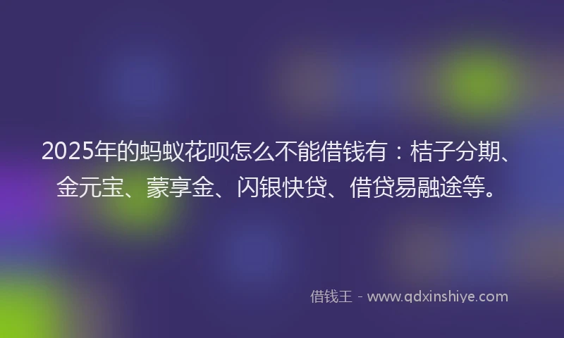 2025年的蚂蚁花呗怎么不能借钱有：桔子分期、金元宝、蒙享金、闪银快贷、借贷易融途等。