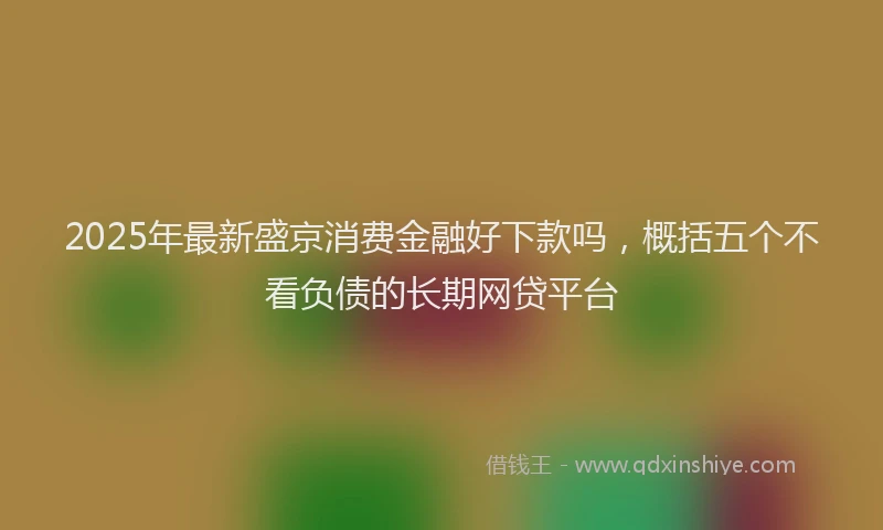 2025年最新盛京消费金融好下款吗，概括五个不看负债的长期网贷平台