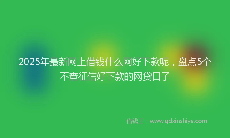 2025年最新网上借钱什么网好下款呢，盘点5个不查征信好下款的网贷口子