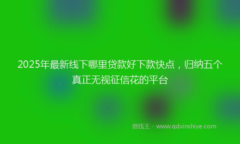 2025年最新线下哪里贷款好下款快点，归纳五个真正无视征信花的平台