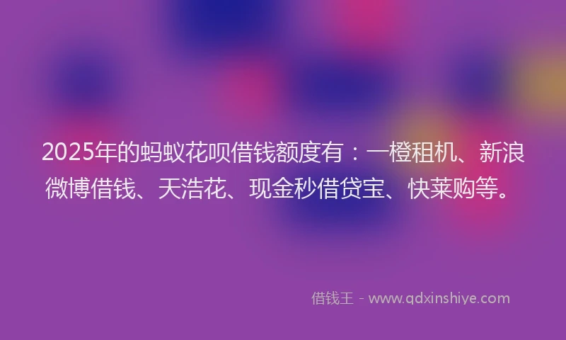 2025年的蚂蚁花呗借钱额度有：一橙租机、新浪微博借钱、天浩花、现金秒借贷宝、快莱购等。